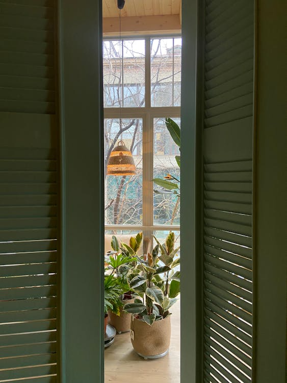 blinds and shades 2