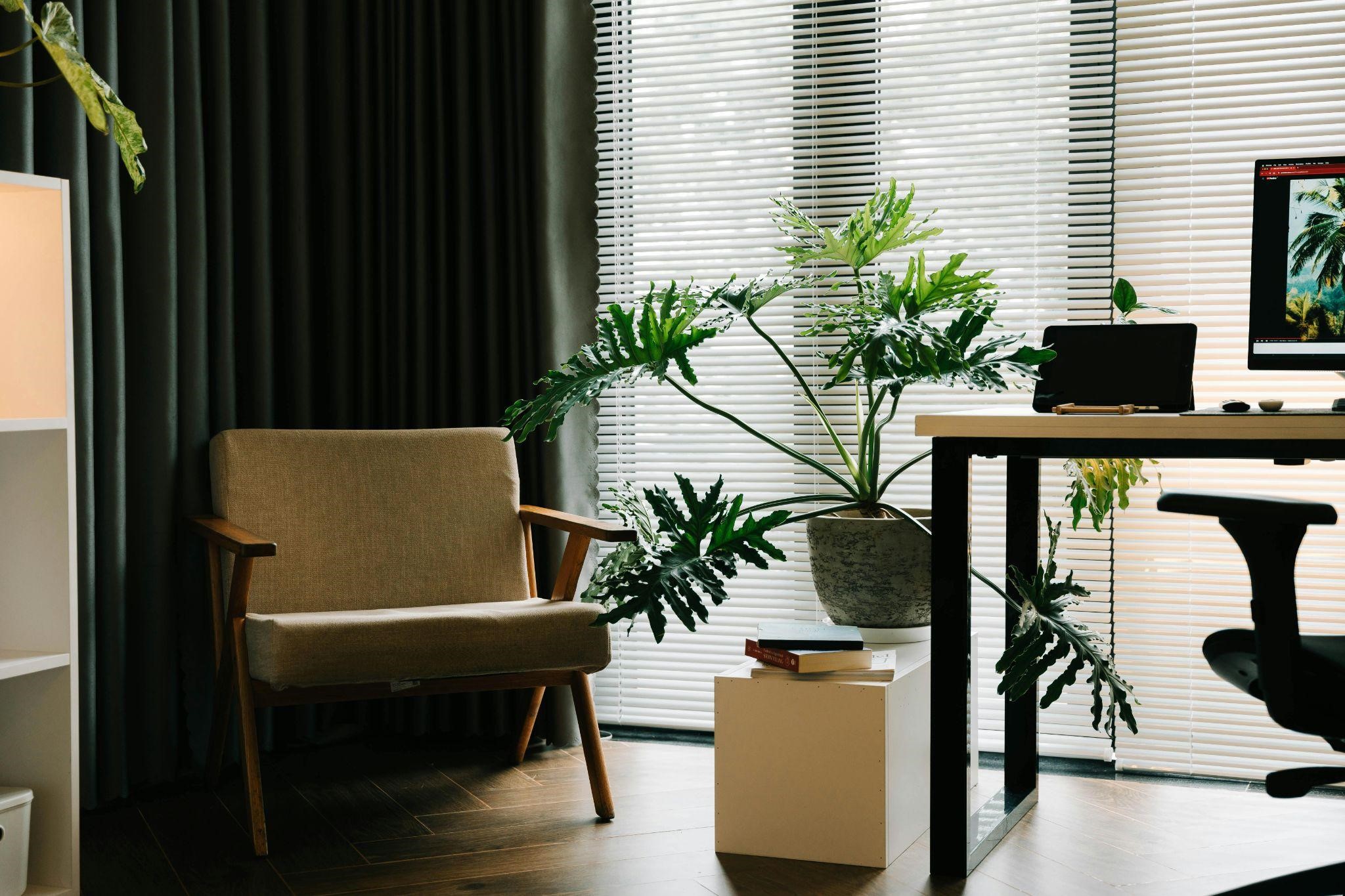 Window Drapes